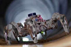 终为一项荣获中国国际“互联网+”大学生立异创